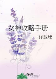 女神攻略手册