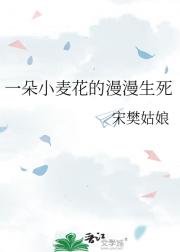 一朵小麦花的漫漫生死