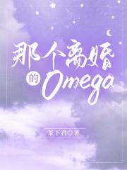 那个离婚的omega