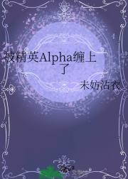 被精英Alpha缠上了