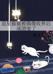 追星猫猫被偶像收养后成团宠了