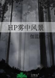 HP雾中风景