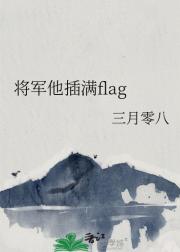 将军他插满flag