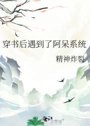 穿书后遇到了阿呆系统