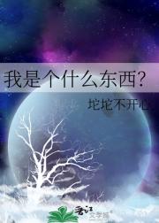 我是个什么东西？