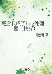 死后我成了bug处理器（快穿）