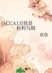 [ACCA13]我是利利乌姆