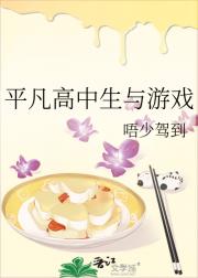 平凡高中生与游戏
