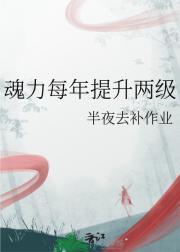 魂力每年提升两级