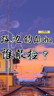 路边的Alpha，谁敢捡？