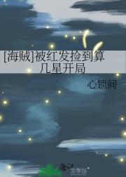 [海贼]被红发捡到算几星开局