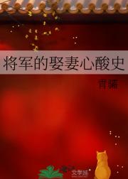 将军的娶妻心酸史