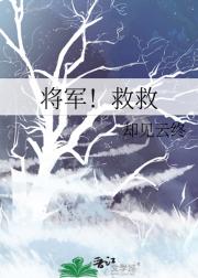 将军！救救